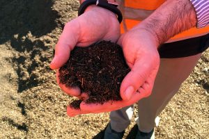 soil-ameliorants-compost